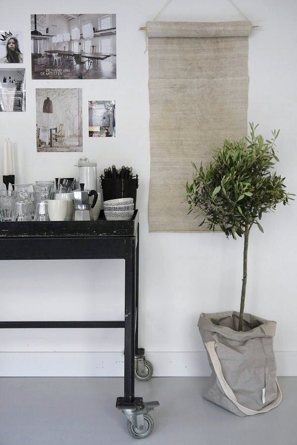 olijfboom binnenplant interieur koffiehoekje accessoires