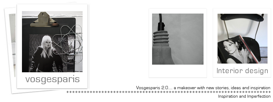 vosgesparis banner 2013 interior blog