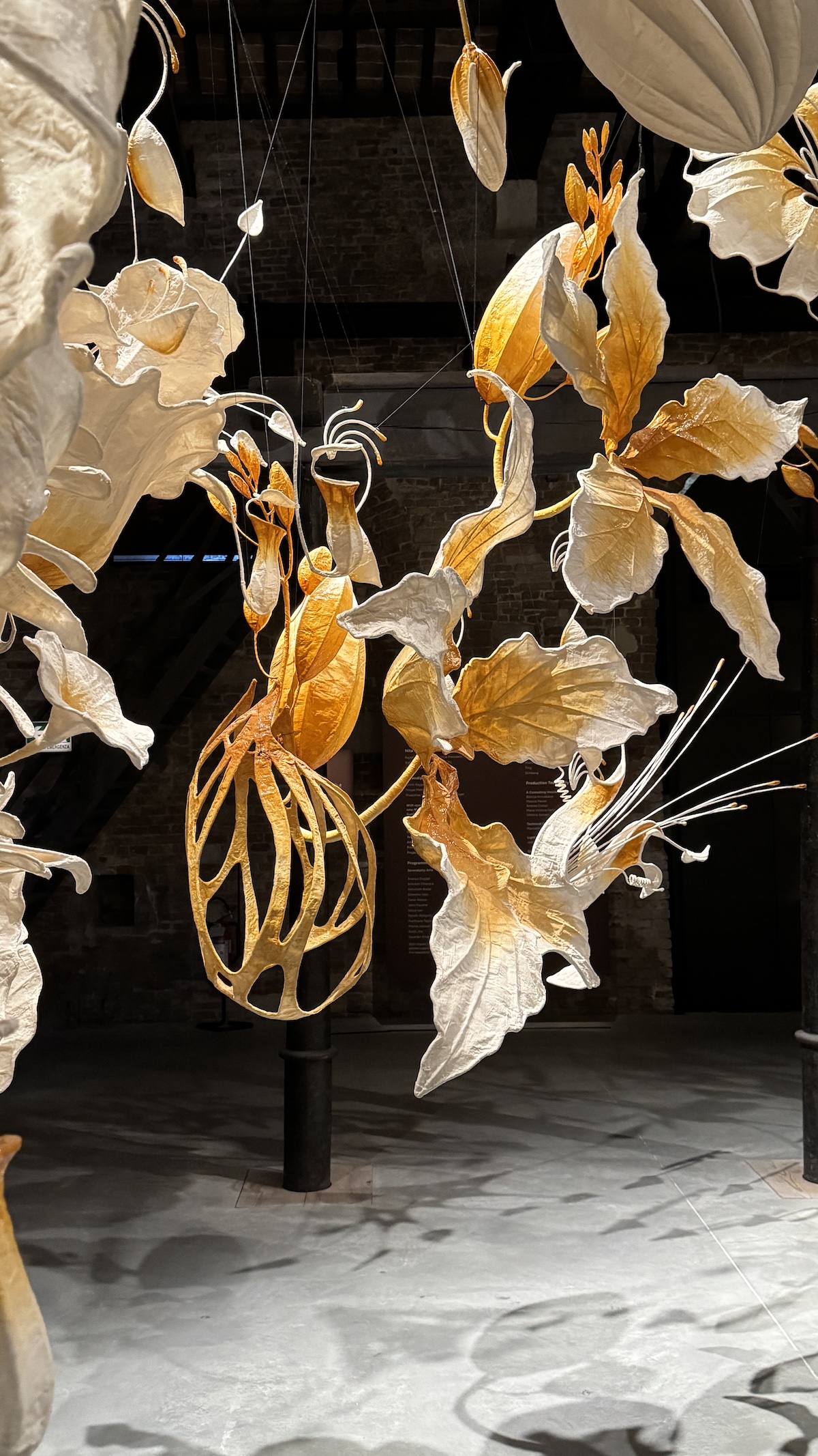 India Pavillion Arsenale 2026 ©VOSGESPARIS
